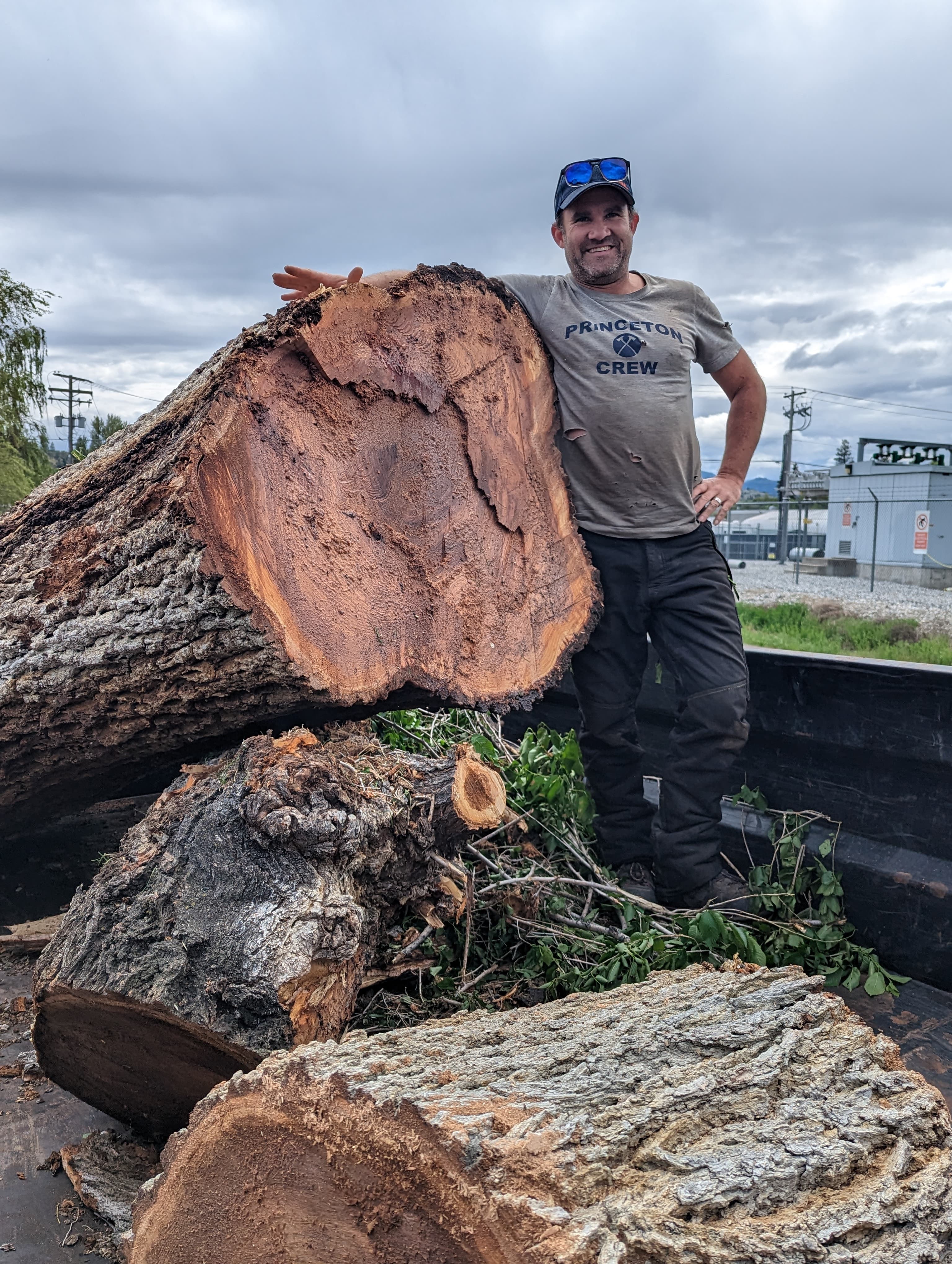 Smiling man leans against a massive, freshly cut tree log in a truck bed.